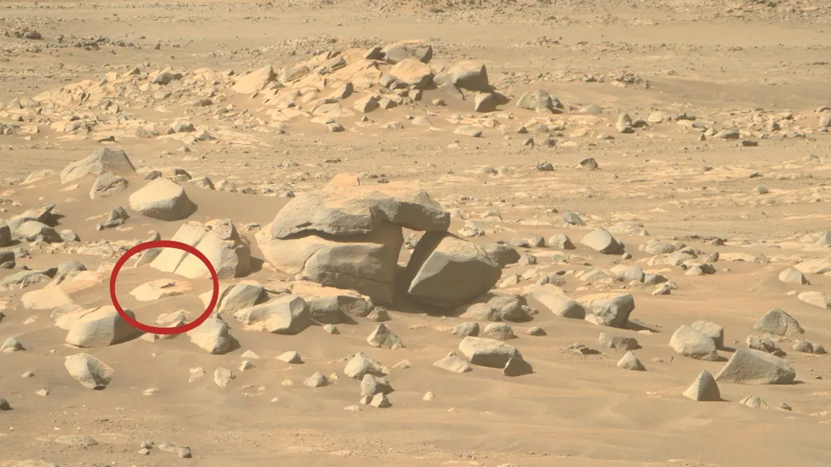 what-if-aliens-really-existed-and-were-smarter-than-us