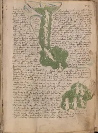 the-voynich-manuscript-the-600-year-old-book-no-one-has-ever-been-able-to-read