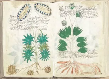 the-voynich-manuscript-the-600-year-old-book-no-one-has-ever-been-able-to-read