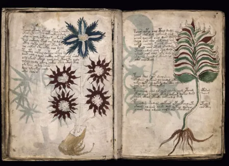 the-voynich-manuscript-the-600-year-old-book-no-one-has-ever-been-able-to-read