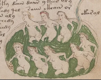 the-voynich-manuscript-the-600-year-old-book-no-one-has-ever-been-able-to-read