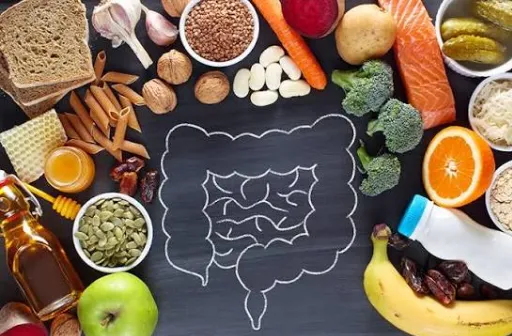 your-gut-is-your-second-brain-how-gut-health-shapes-your-mind-and-immunity