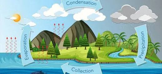 the-ocean-s-amazing-role-in-keeping-earth-livable