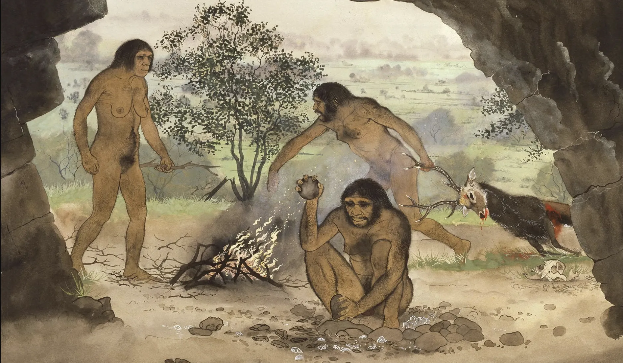 How Early Humans Lived, Caves, Hunting, and Survival  | ArticlePaid