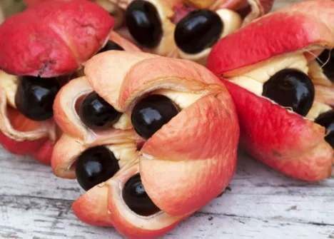 5-weird-fruits-that-look-like-they-re-from-another-planet