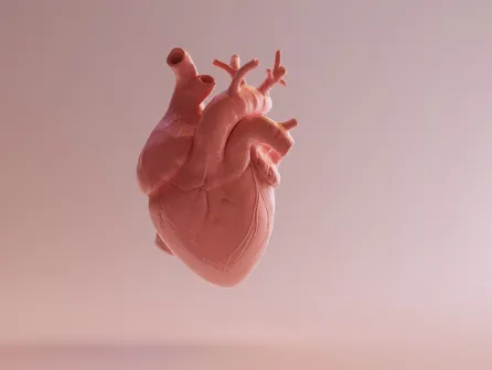 Can A Heart Transplant Transfer The Donor S Memories