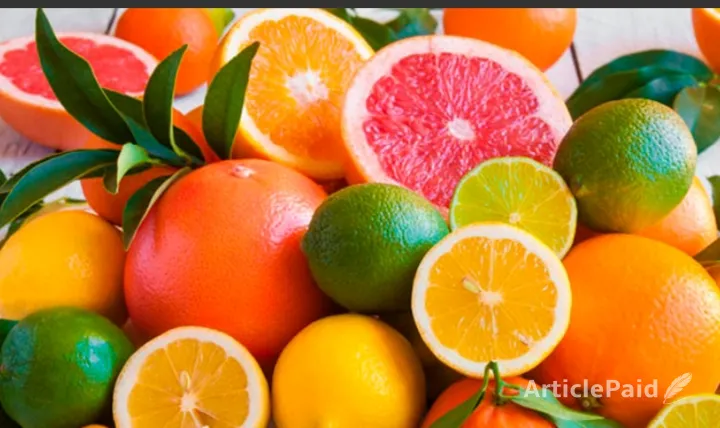 Try with me the 10 Foods That Boost Immunity in 2026  | ArticlePaid