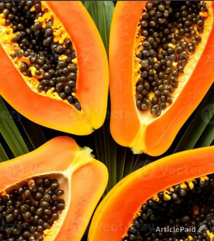 try-with-me-the-10-foods-that-boost-immunity-in-2026