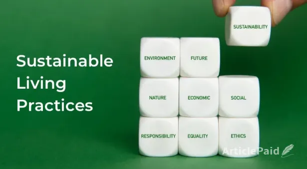small-shifts-big-impact-practical-sustainability-for-everyday-life