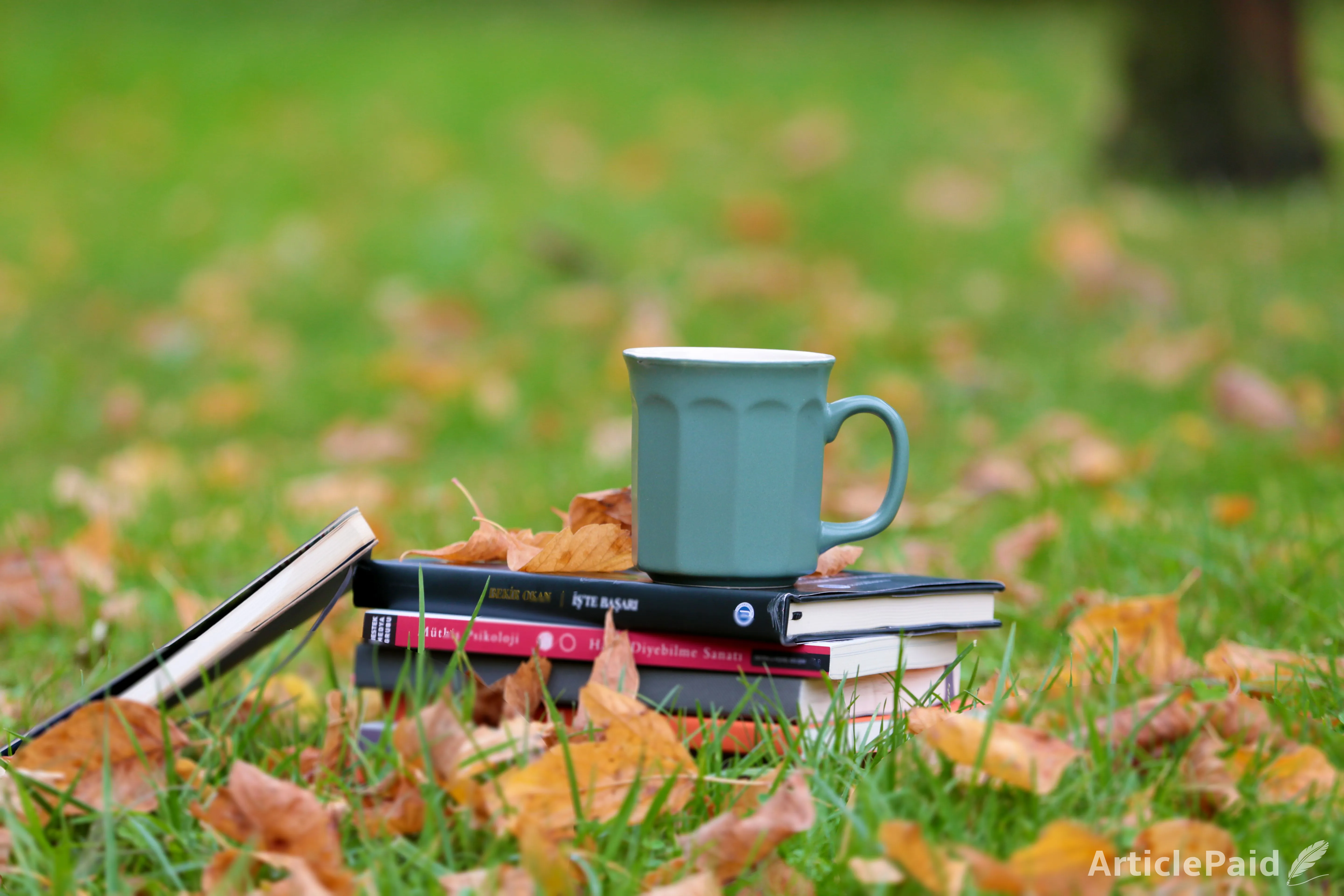5 Powerful Habits to Lift Your Energy and Thrive