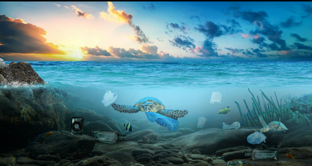 Why should we reduce plastic usage?...