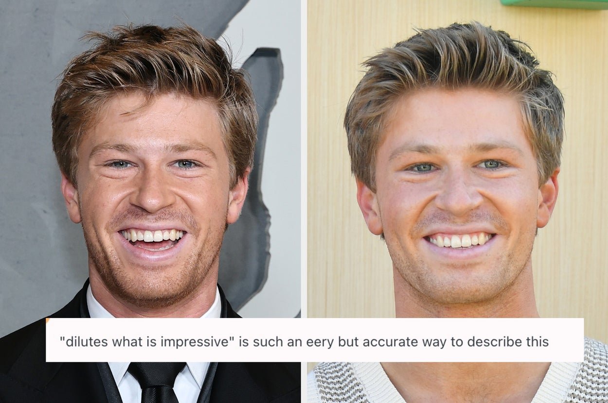 People Are Debating The Usefulness Of AI After Robert Irwin ...