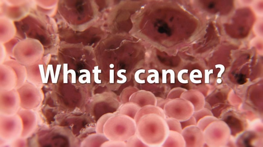Cancer; Understanding the disease and its effects