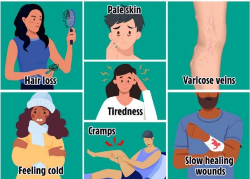 Warning symptoms of poor blood flow: what your body is trying to tell you