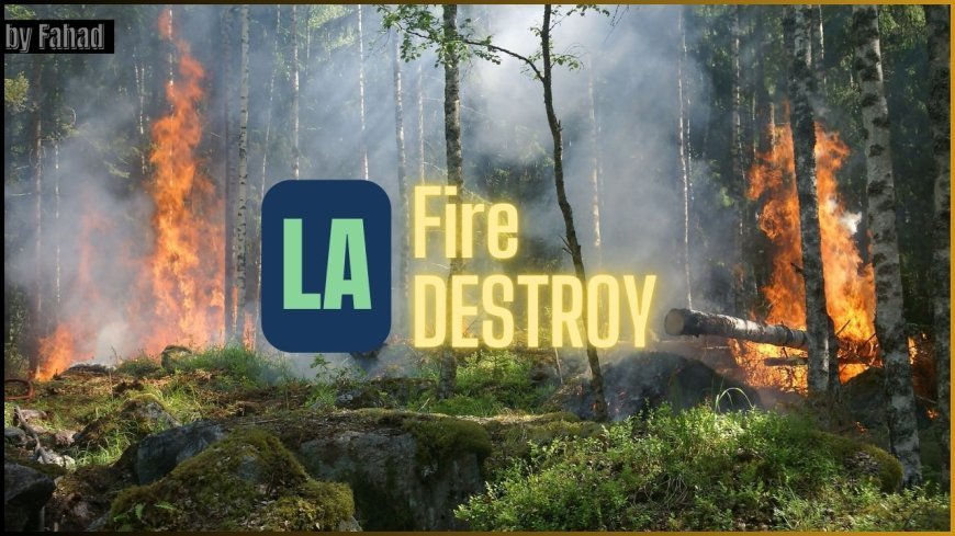 L.A. Wildfires: 9 Charged in Arson and Looting Cases
