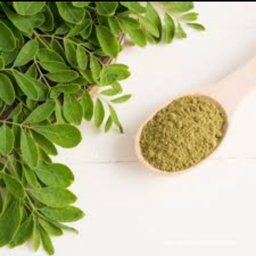 Moringa The Powerhouse: Health benefits of Moringa