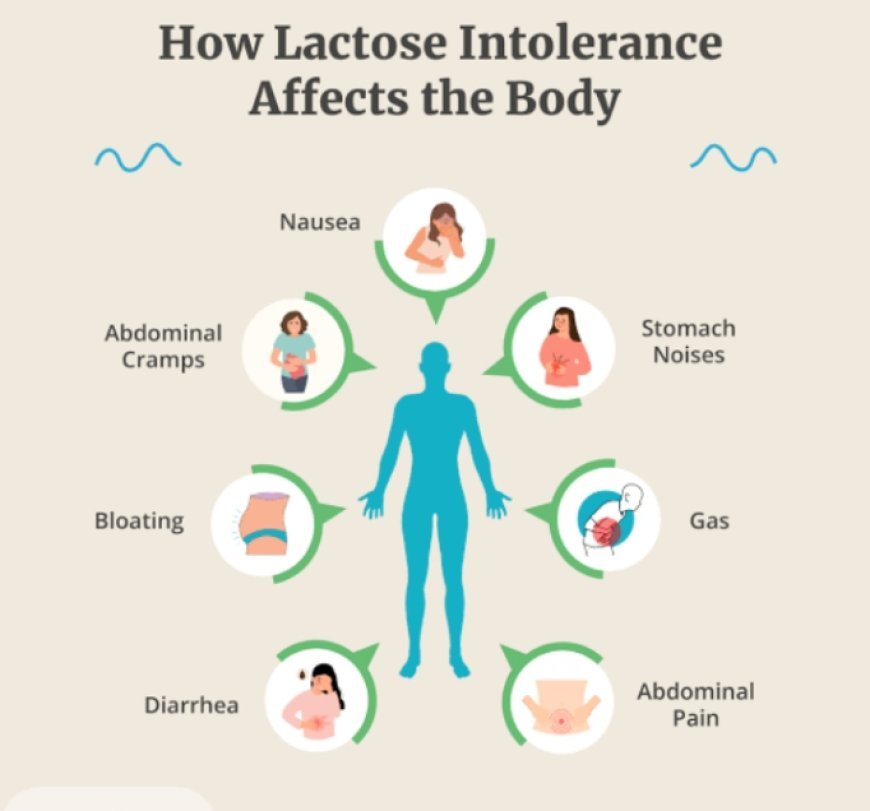 8 symptoms your body telling you that you are lactose intolerant