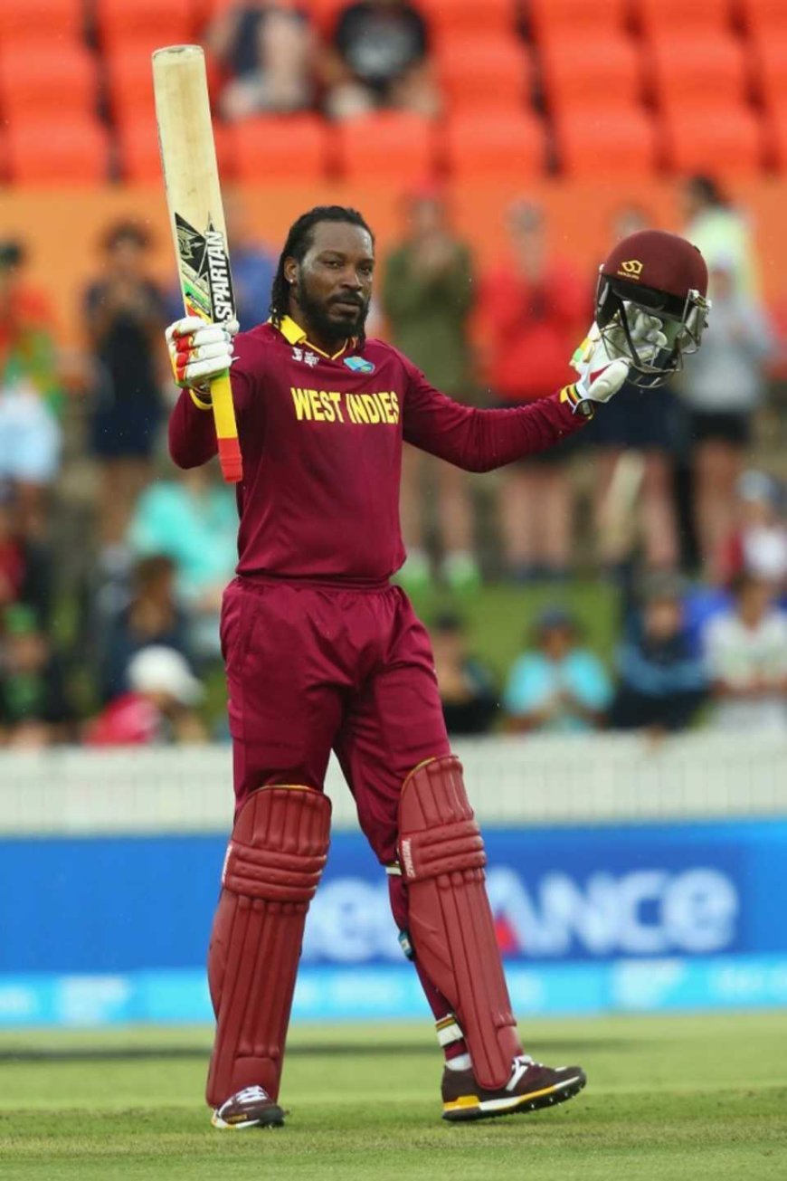 The Universe Boss Chairs Gayle  | ArticlePaid