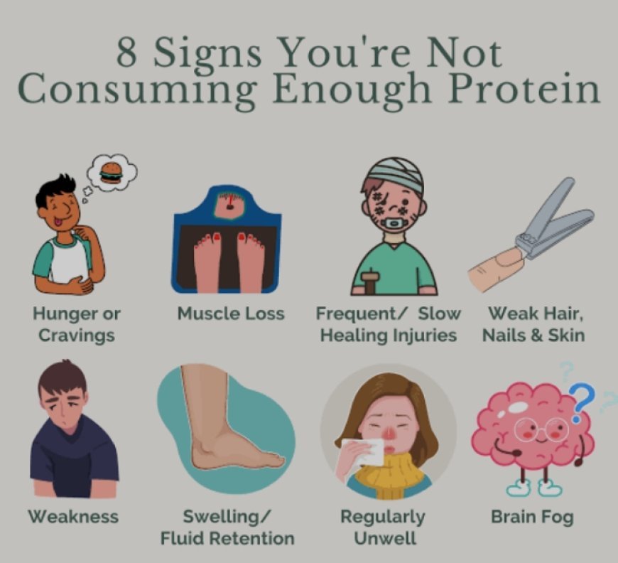 8 Signs  you are not getting  sufficient Protein