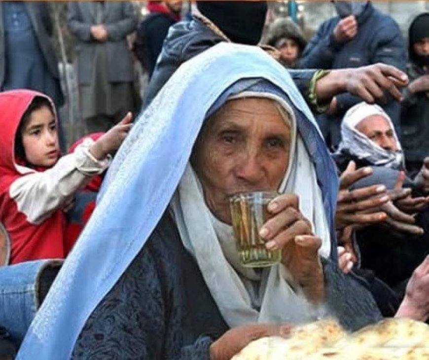 "Afghanistan’s Food Crisis: Millions Struggle as Aid Suspension Worsens Hunger"