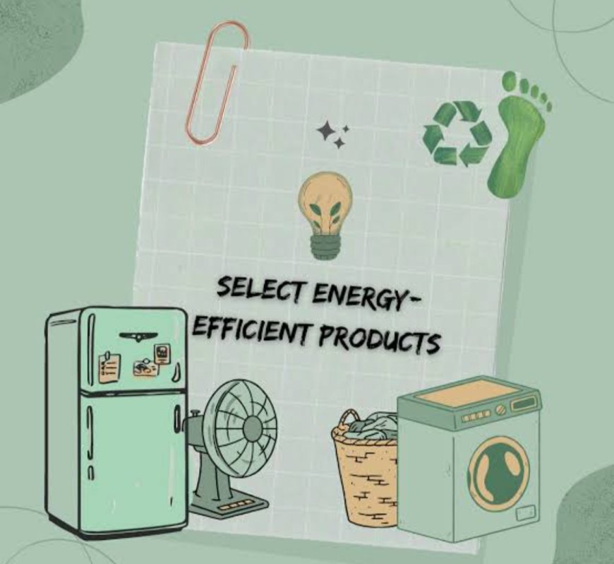 How to Live a More Sustainable Life: Small Changes, Big Impact