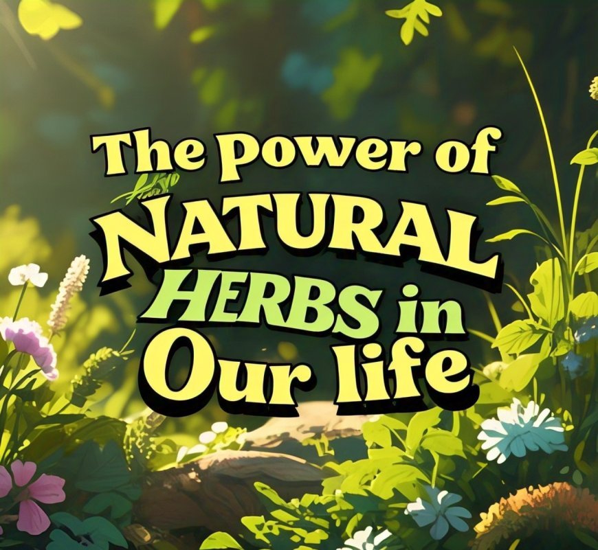 The Power and benefits of Natural Herbs in Our lives