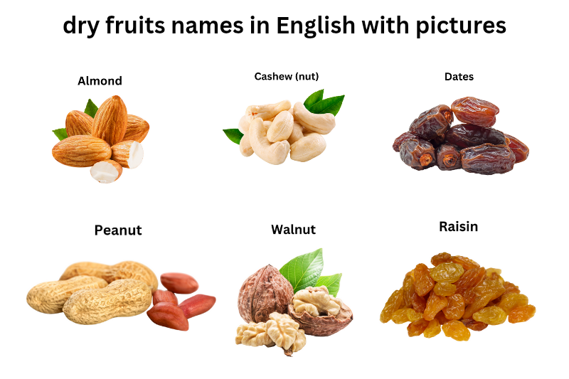 List of common Dry fruit names in English with pictures