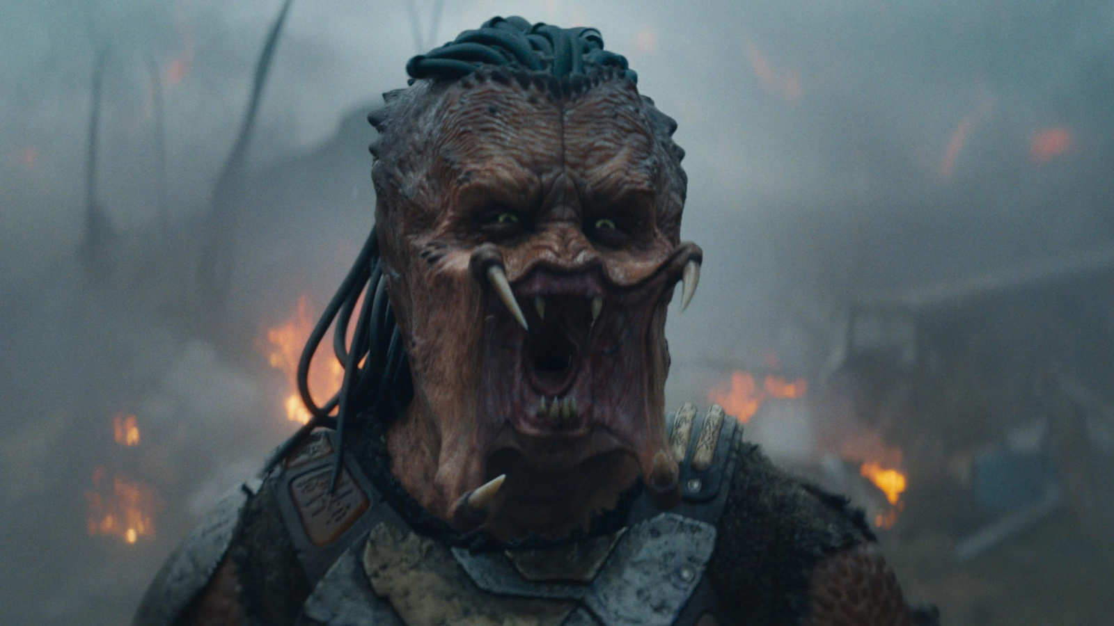 Predator: Badlands Trailer Unleashes a Bold New Chapter Articlepaid