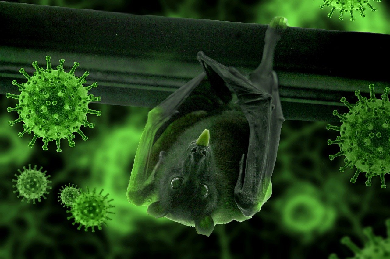 Is Chagas Disease a Growing Health Threat in California and