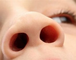 The Nose: Apart of Human body /Humanity’s Unsung Hero