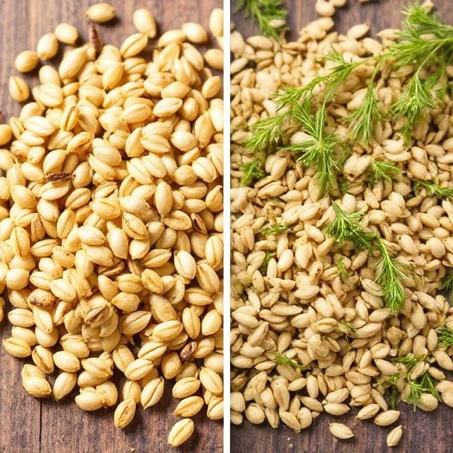 The raw versus roasted fennel seeds,which is better for your