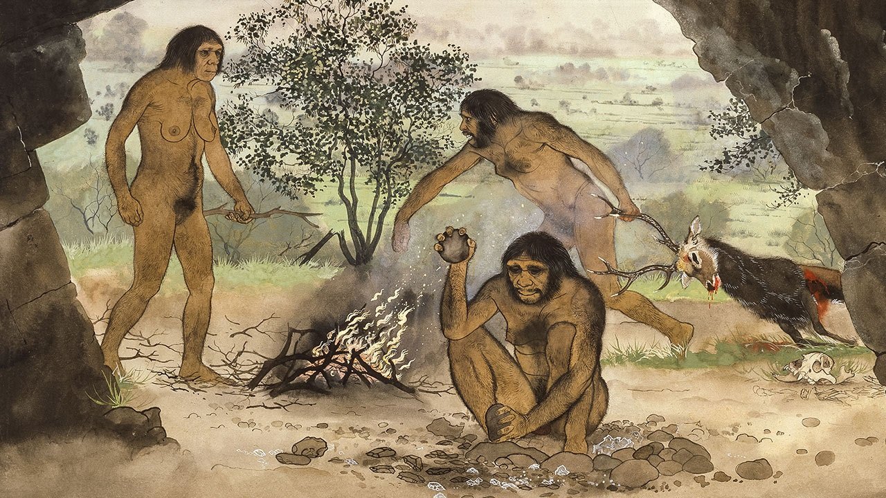 Why do you think humans evolved such a risky process of chil...