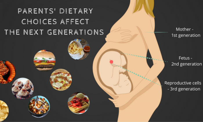 How does a mother’s diet affect the baby’s long-term health?...
