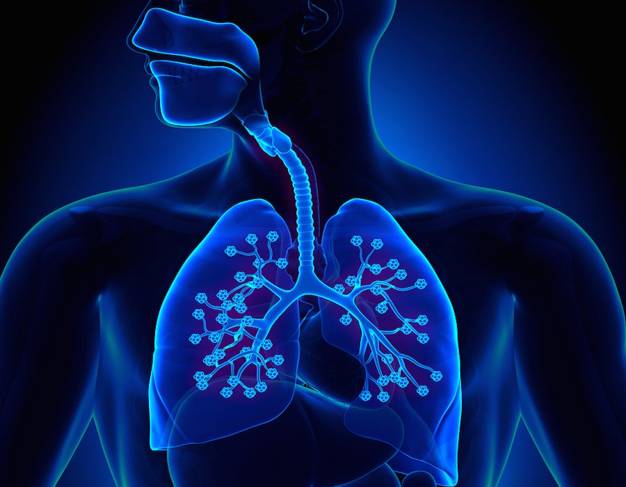 What habits are good for keeping your lungs strong?...