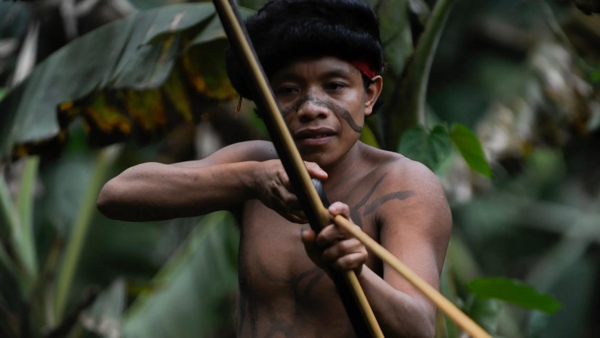 It is said that the Sentinelese tribes had an isolated existence.