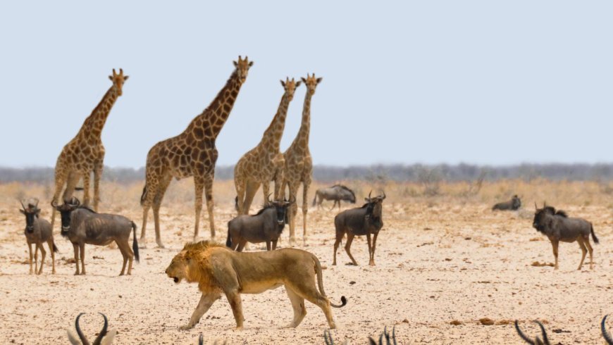 The Science Behind Animal Spots: Evolution and Adaptation