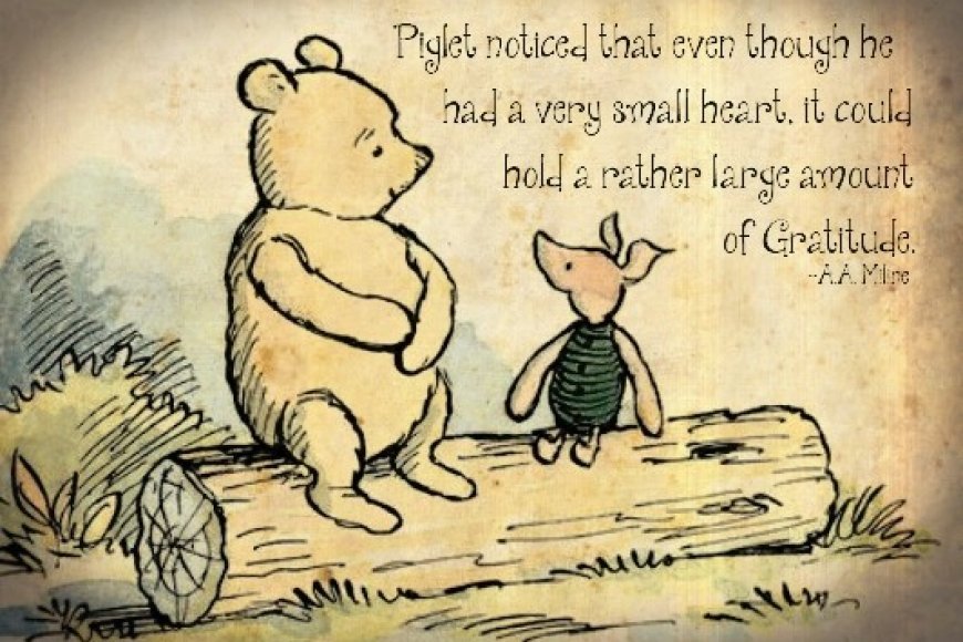 The Power of Gratitude : tips you should Practice Daily
