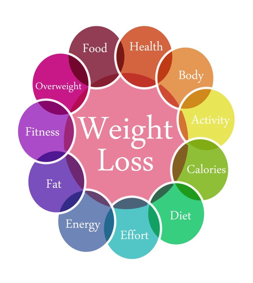 The Comprehensive Guide to Sustainable Weight Loss: