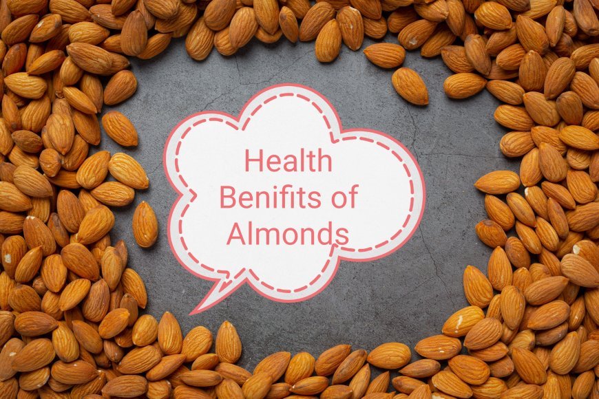 Professional Tips: Why Should We Use Almond On Daily Basis