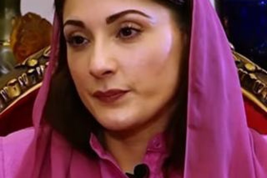 Pakistani Punjab's CM Free Milk Program for Students