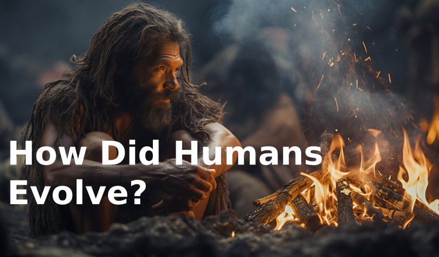 How Did Humans Evolve? Read the Evidence of Human Evolution