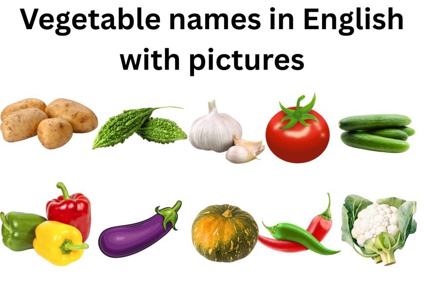 Vegetable names in English with pictures