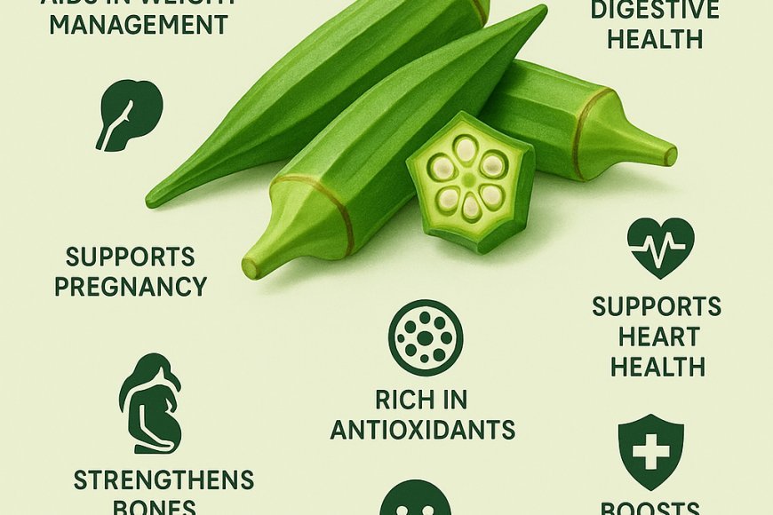 Lady finger, also known as okra, popular green vegetable