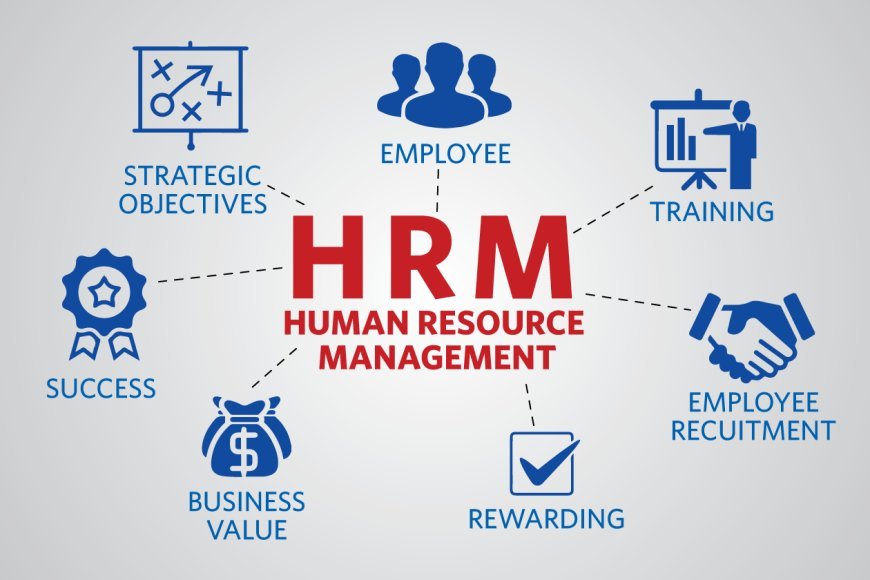 Top 10 Human Resource Software to Streamline HR Management