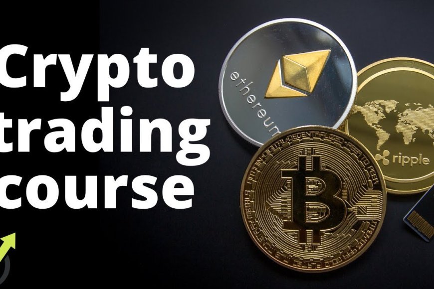 Top 10 Cryptocurrency Courses to Learn Blockchain