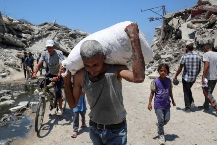 Global Reactions to the Gaza Crisis