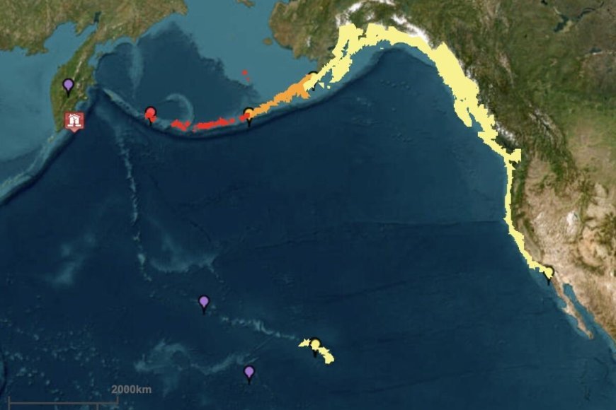 Tsunami Warning in California: Latest Developments