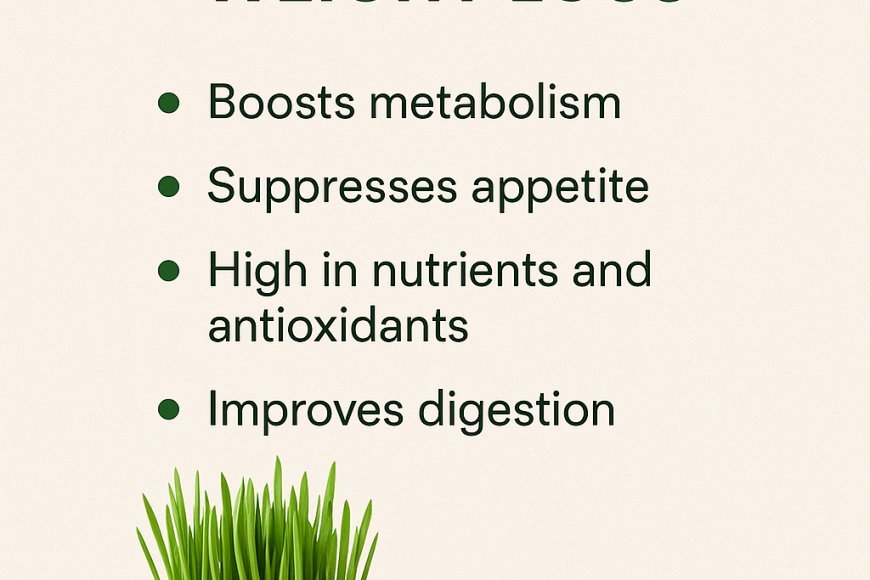 Best Ideas to Have Wheatgrass to Lose Weight.