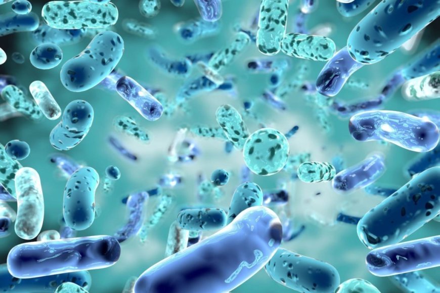The Ultimate Guide to Probiotics