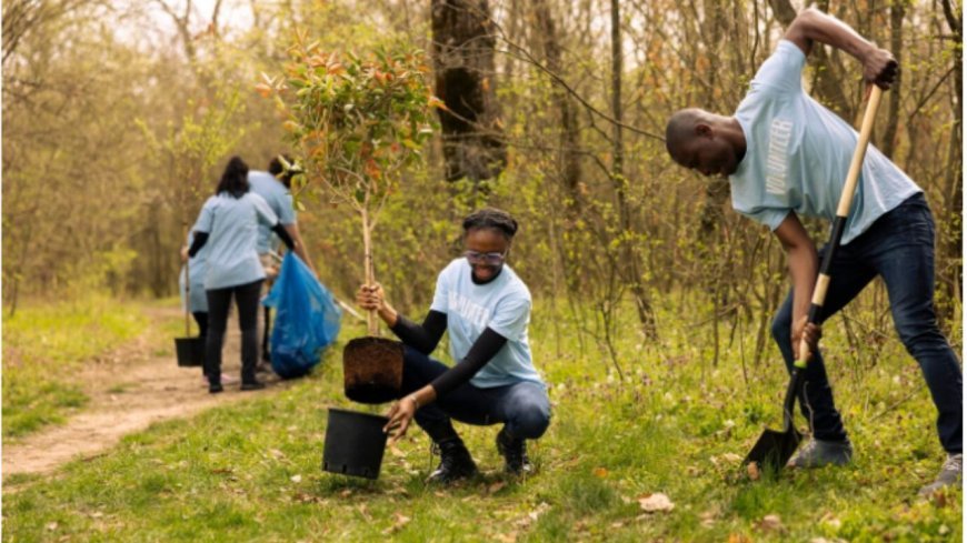 Why Are Tree Planting Services Becoming a Must-Have for Every Austin Homeowner in 2025?